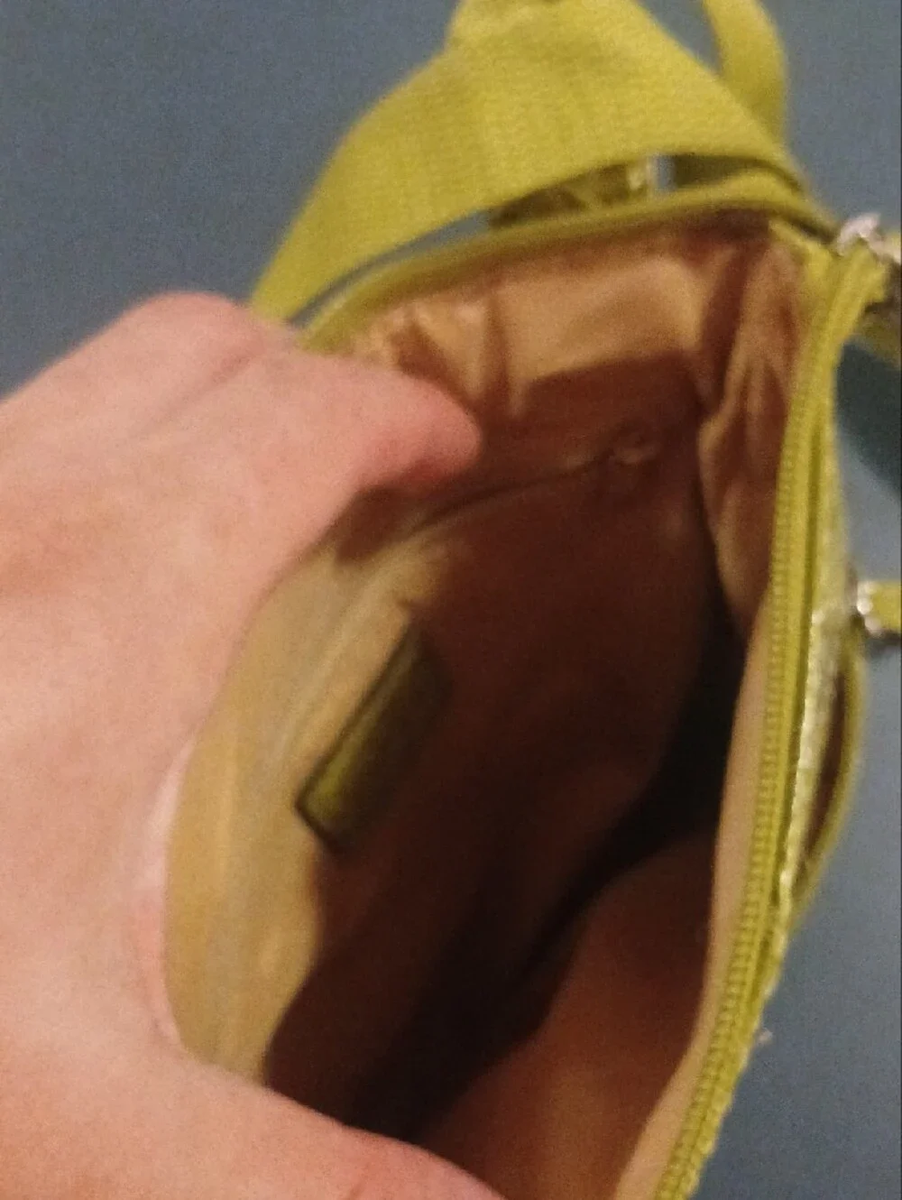 XOXO Olive Croc-Embossed Crossbody Bag
